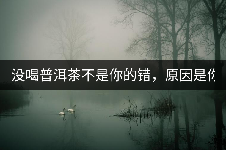 沒喝普洱茶不是你的錯(cuò)，原因是你還沒遇到Y(jié)671與Y562