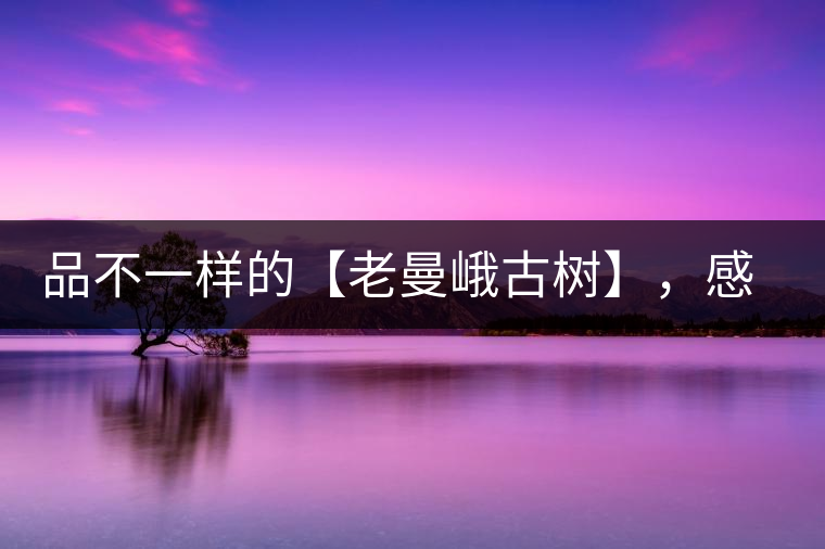 品不一樣的【老曼峨古樹】，感受別樣甘甜與溫婉