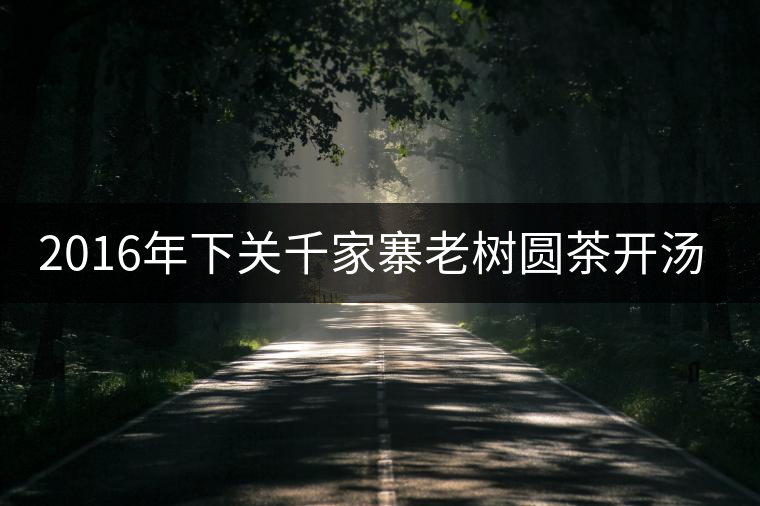 2016年下關(guān)千家寨老樹圓茶開湯品鑒 2016年下關(guān)千家寨老樹圓茶開湯品鑒