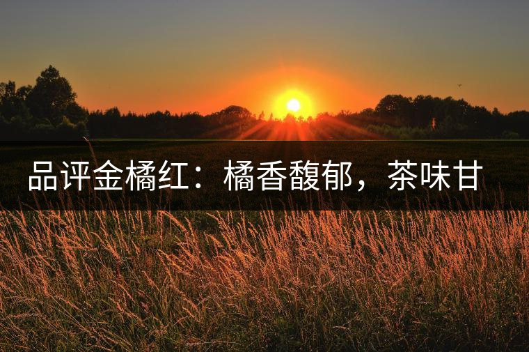 品評(píng)金橘紅：橘香馥郁，茶味甘醇，匠心拼配，臻于至善
