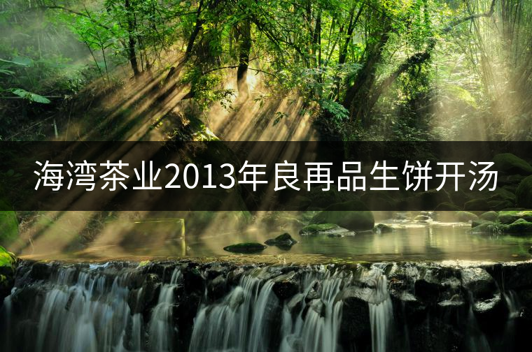 海灣茶業(yè)2013年良再品生餅開湯