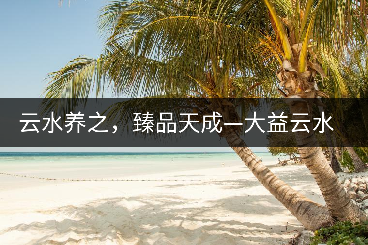 云水養(yǎng)之，臻品天成—大益云水臻開(kāi)湯