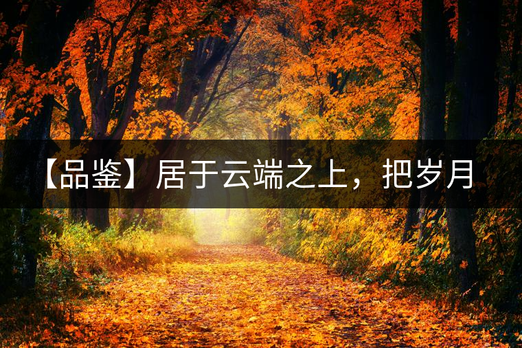 【品鑒】居于云端之上，把歲月“熟”透