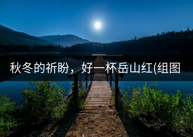 秋冬的祈盼，好一杯岳山紅(組圖)