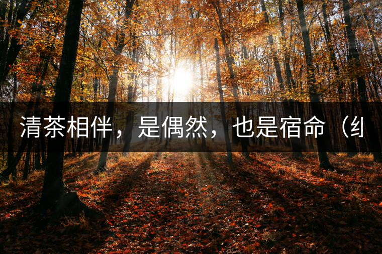 清茶相伴，是偶然，也是宿命（組圖）