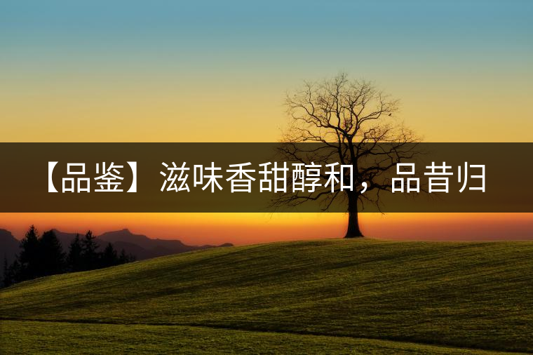 【品鑒】滋味香甜醇和，品昔歸古樹(shù)黃片