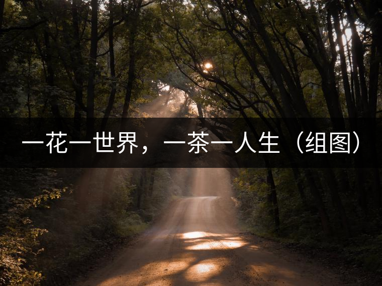一花一世界，一茶一人生（組圖）