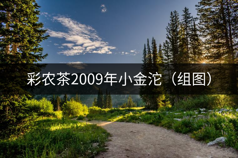 彩農(nóng)茶2009年小金沱（組圖）