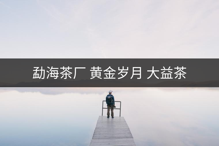 勐海茶廠 黃金歲月 大益茶