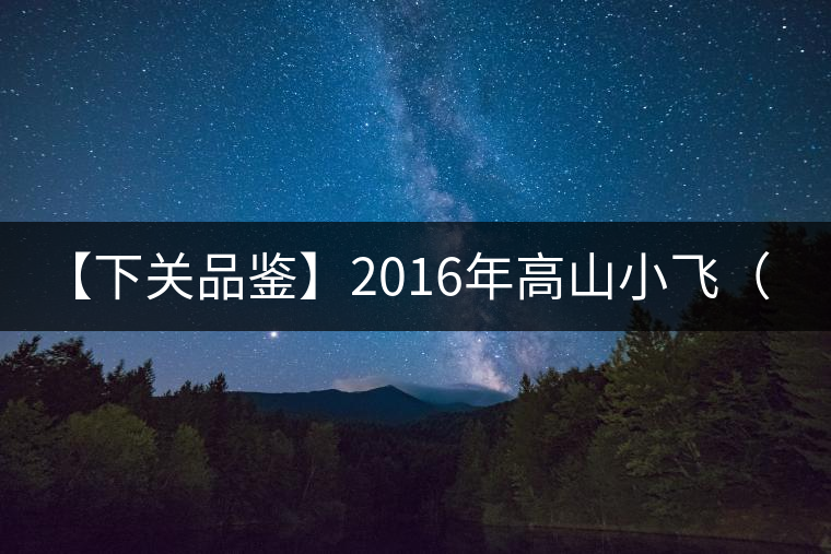 【下關品鑒】2016年高山小飛（生）