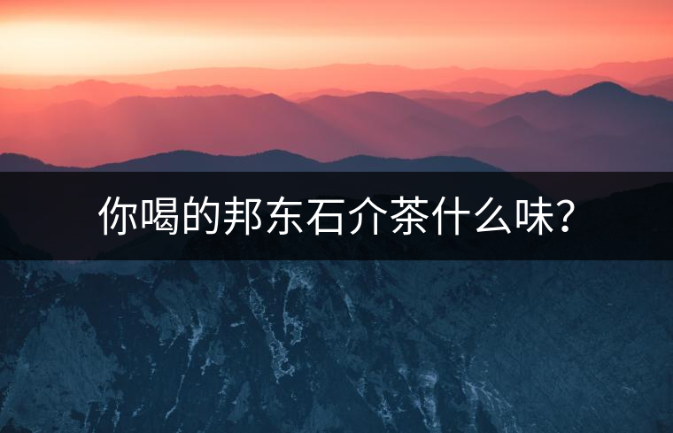 你喝的邦東石介茶什么味？