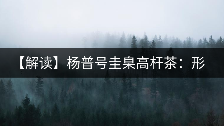 【解讀】楊普號(hào)圭臬高桿茶：形高、氣足、韻遠(yuǎn)的一款茶