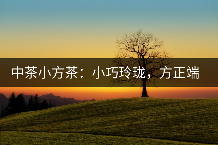 中茶小方茶：小巧玲瓏，方正端莊