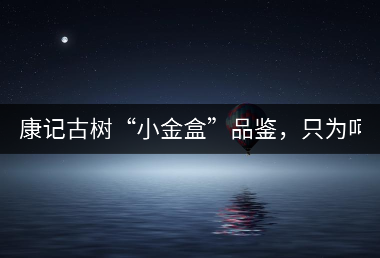 康記古樹“小金盒”品鑒，只為呵護(hù)您的味蕾！