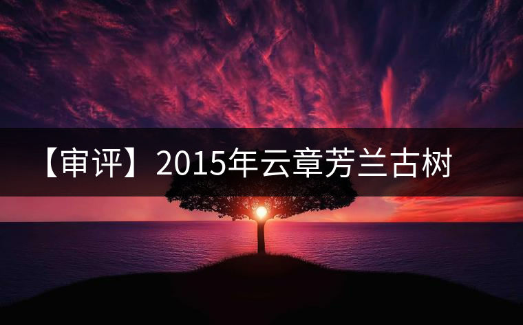 【審評(píng)】2015年云章芳蘭古樹(shù)純料（生茶）