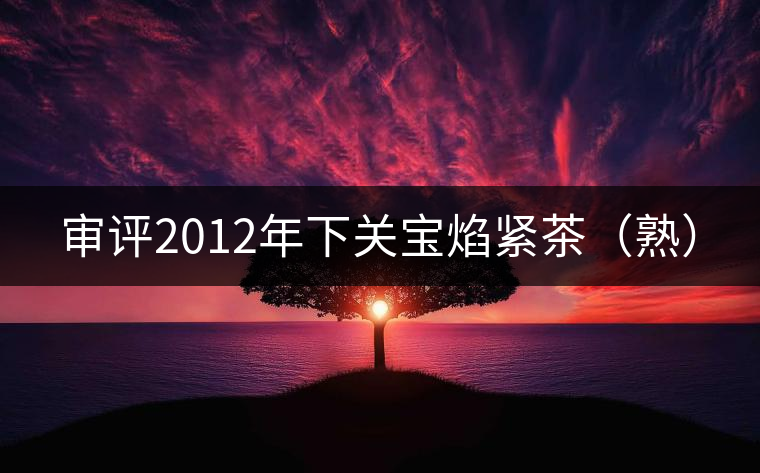 審評(píng)2012年下關(guān)寶焰緊茶（熟）