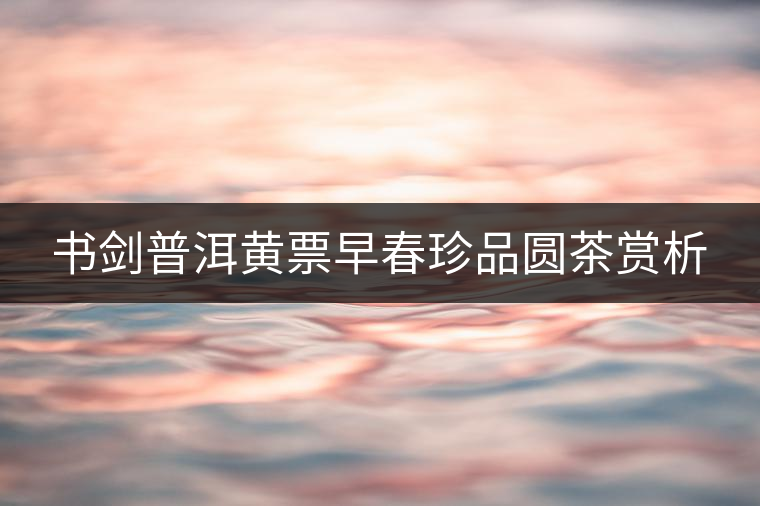 書(shū)劍普洱黃票早春珍品圓茶賞析
