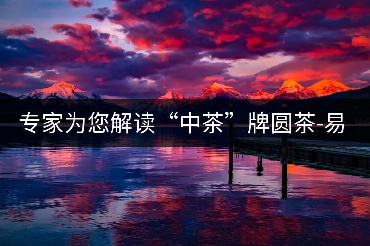 專家為您解讀“中茶”牌圓茶-易武喬木品評(píng)