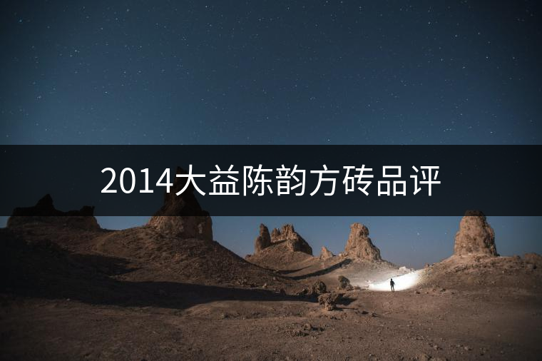 2014大益陳韻方磚品評