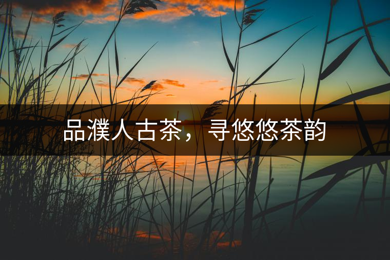品濮人古茶，尋悠悠茶韻