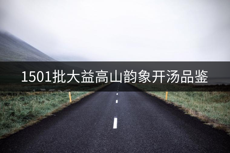1501批大益高山韻象開湯品鑒