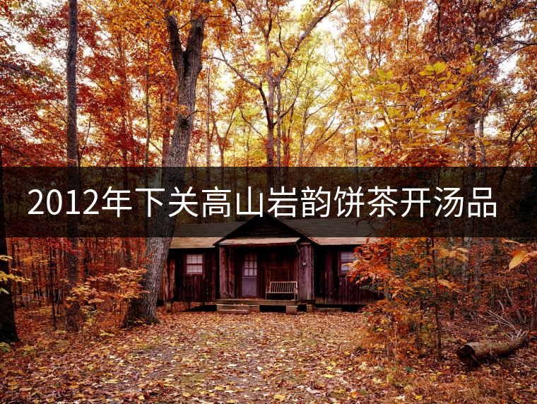 2012年下關(guān)高山巖韻餅茶開(kāi)湯品鑒
