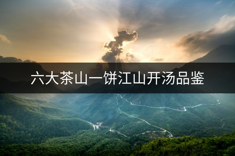 六大茶山一餅江山開湯品鑒