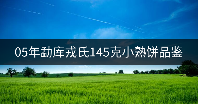05年勐庫戎氏145克小熟餅品鑒 05年勐庫戎氏145克小熟餅品鑒