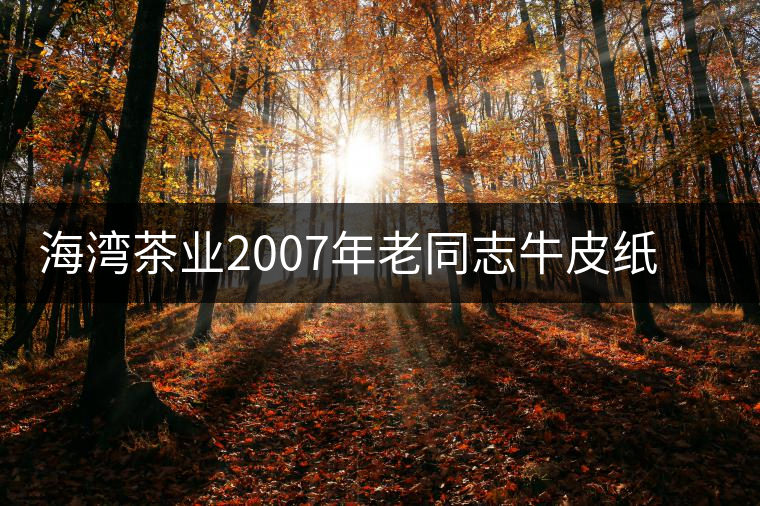 海灣茶業(yè)2007年老同志牛皮紙茶磚開湯品鑒