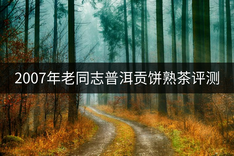 2007年老同志普洱貢餅熟茶評(píng)測