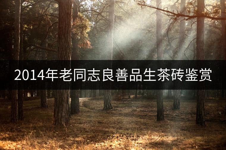 2014年老同志良善品生茶磚鑒賞 2014年老同志良善品生茶磚鑒賞