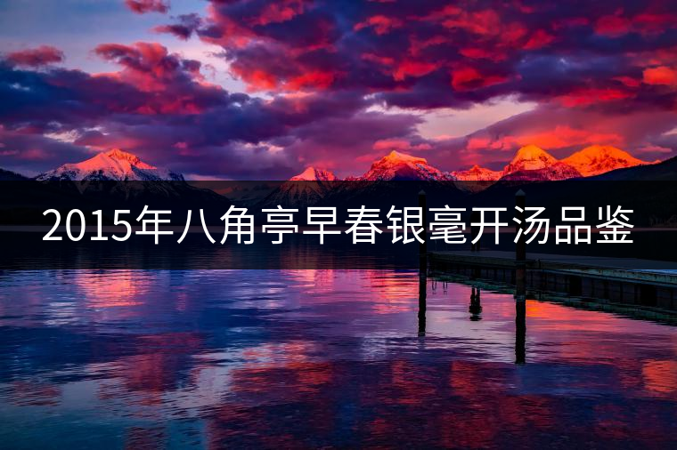 2015年八角亭早春銀毫開湯品鑒