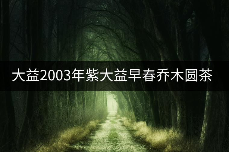 大益2003年紫大益早春?jiǎn)棠緢A茶普餅（400g）開湯