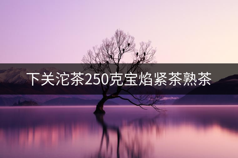 下關(guān)沱茶250克寶焰緊茶熟茶