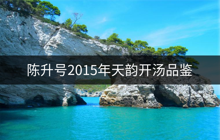 陳升號(hào)2015年天韻開(kāi)湯品鑒