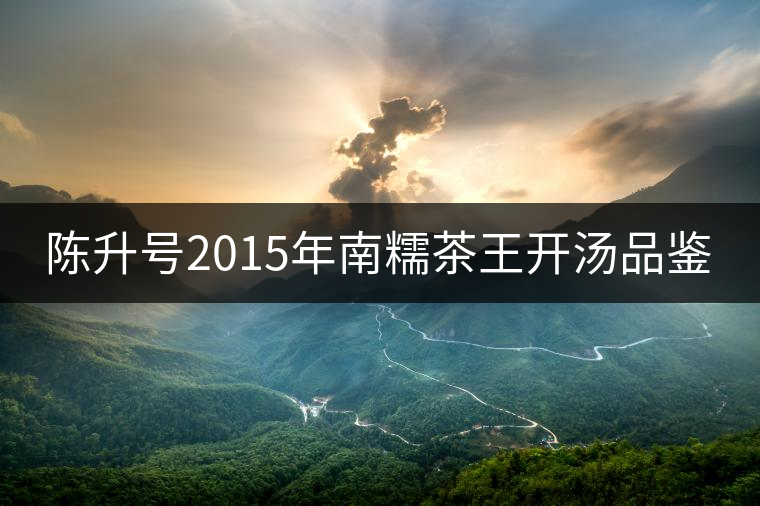 陳升號(hào)2015年南糯茶王開(kāi)湯品鑒 陳升號(hào)2015年南糯茶王開(kāi)湯品鑒