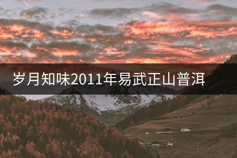 歲月知味2011年易武正山普洱茶開(kāi)湯品鑒