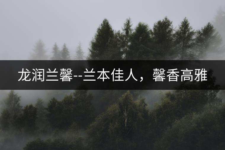 龍潤蘭馨--蘭本佳人，馨香高雅