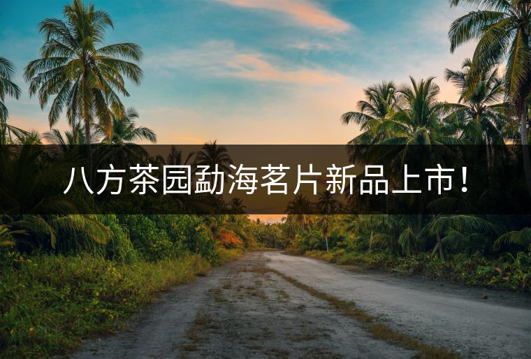 八方茶園勐海茗片新品上市！
