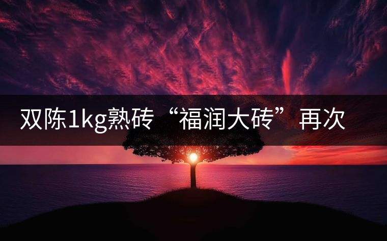 雙陳1kg熟磚“福潤大磚”再次上市