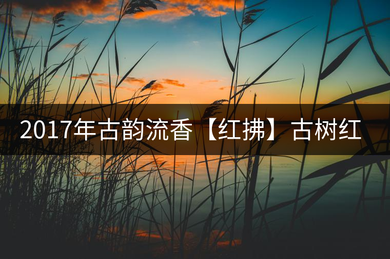 2017年古韻流香【紅拂】古樹紅茶，全新亮相！