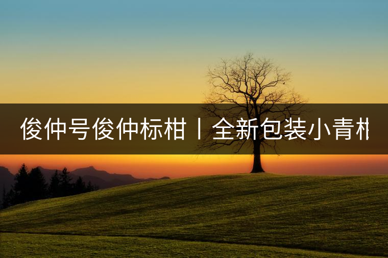 俊仲號(hào)俊仲標(biāo)柑丨全新包裝小青柑震撼上市！