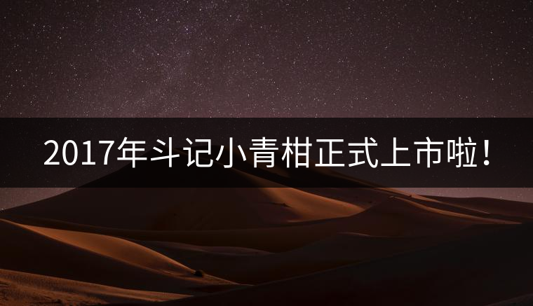 2017年斗記小青柑正式上市啦！