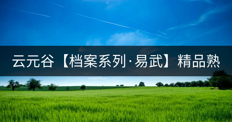 云元谷【檔案系列·易武】精品熟茶，精裝上市！