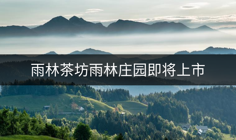 雨林茶坊雨林莊園即將上市 雨林茶坊雨林莊園即將上市