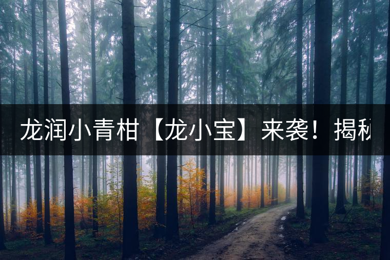 龍潤小青柑【龍小寶】來襲！揭秘它的前半生！