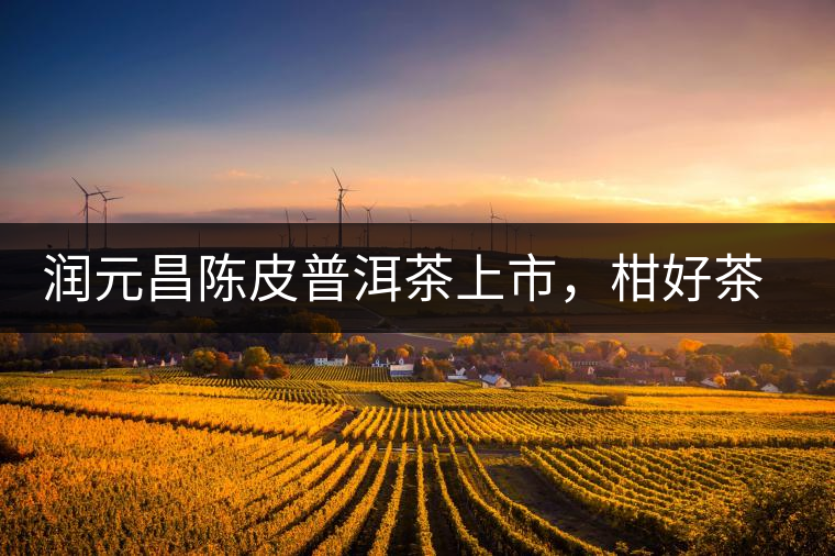 潤(rùn)元昌陳皮普洱茶上市，柑好茶更好，精品普洱茶