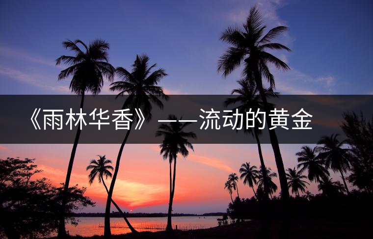 《雨林華香》——流動的黃金 唱歌的絲綢