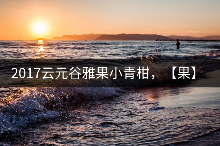 2017云元谷雅果小青柑，【果】真來了
