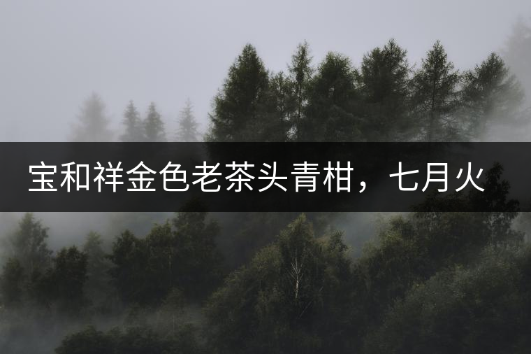 寶和祥金色老茶頭青柑，七月火熱上市